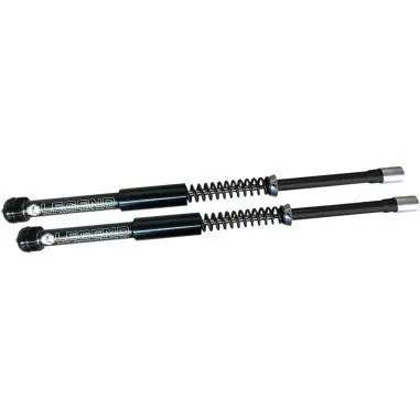 Legend Axeo Cartridge Fork Systems - 06-17 Dyna 2