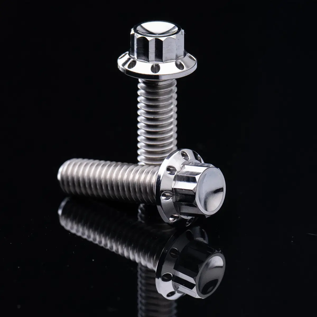 Arlen Ness Transmission Side Cover & Trap Door Titanium 12-Point Bolt Kits, Polished 1