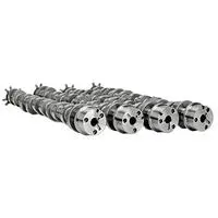 Lm-C11-Iope<Br> Coyote 5.0L Camshaft (11-14) </Br> "Intake Only" W/"Paired Exhaust" (4 Cam Set) </Br> <B>Full Tivct Na & 50+ Hp W/Small Twins, Up To 2.65 Blower</B> 1