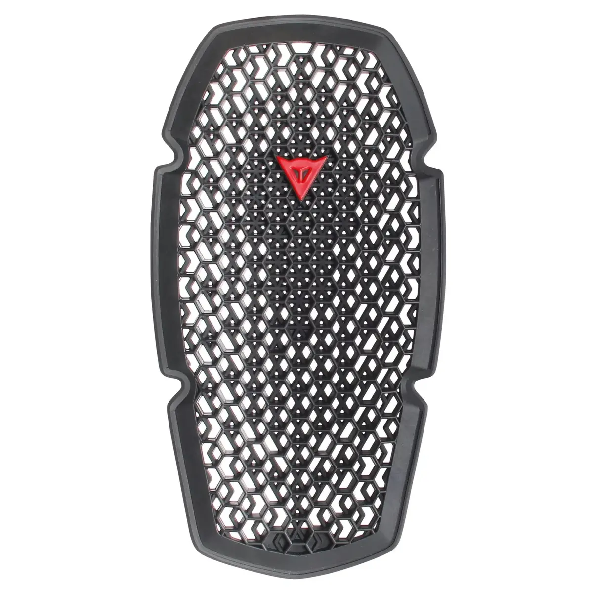 Dainese Pro-Armor G1 2.0 Back Protector 1
