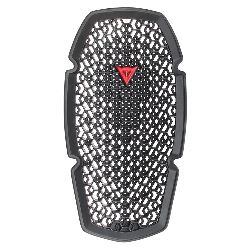 Dainese Pro-Armor G2 2.0 Back Protector 1