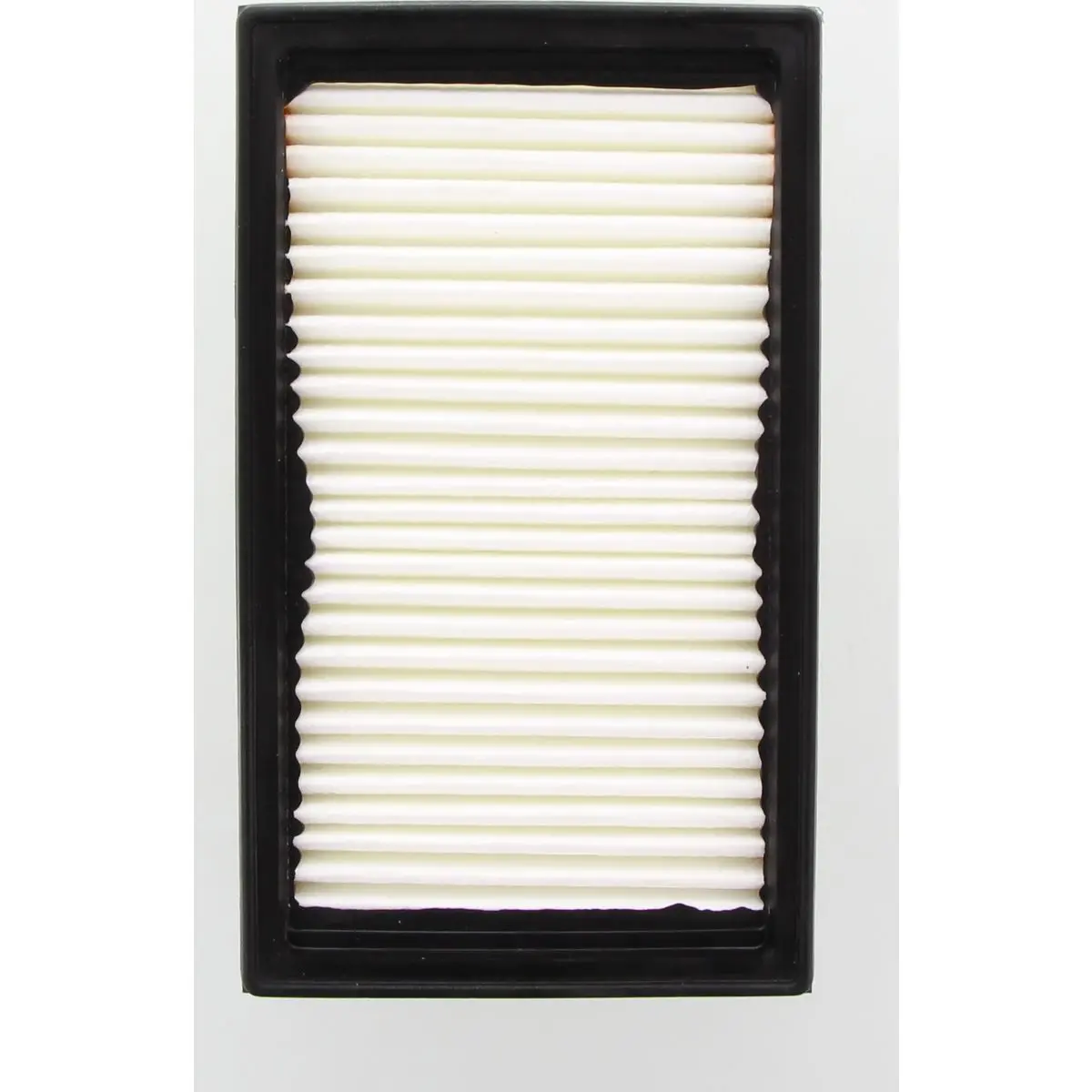 Ryco Air Filter - Panel - A1591 1