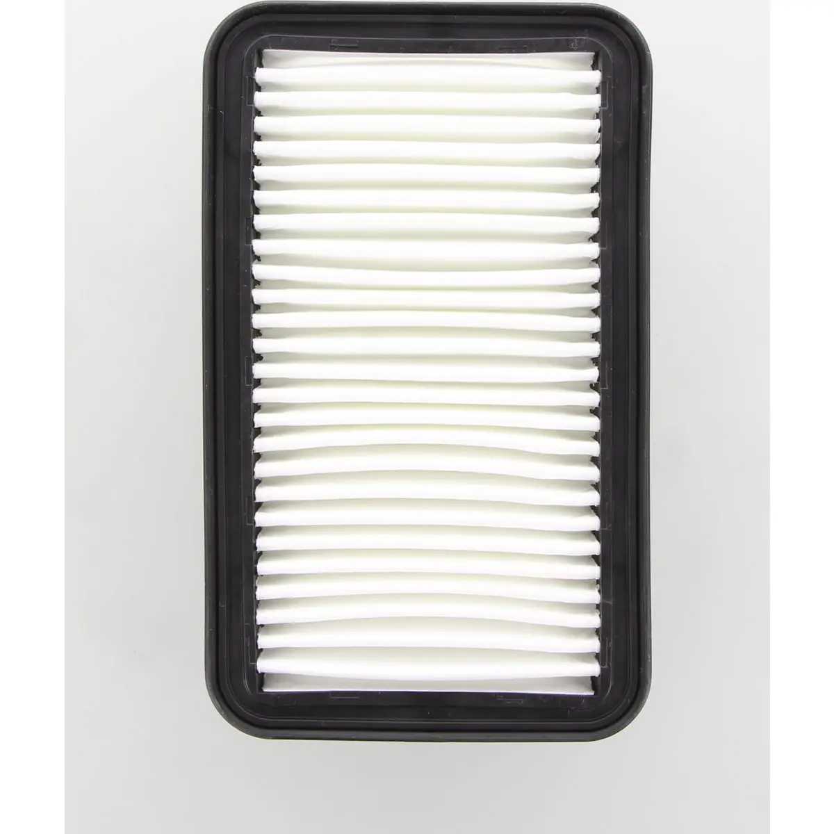 Ryco Air Filter - A1629 1