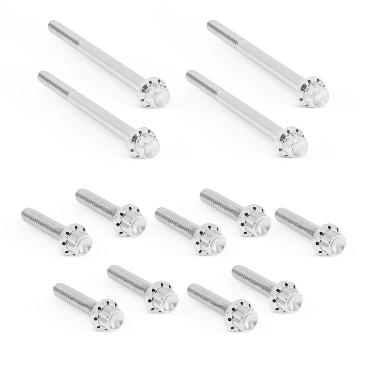 Arlen Ness Primary Cover Titanium 12-Point Bolt Kits, Polished 3