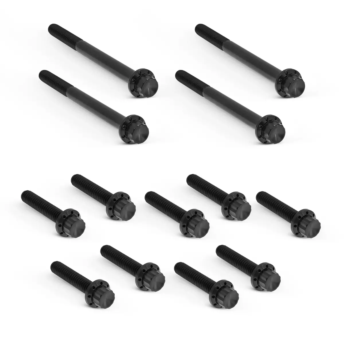 Arlen Ness Primary Cover Titanium 12-Point Bolt Kits, Black 3