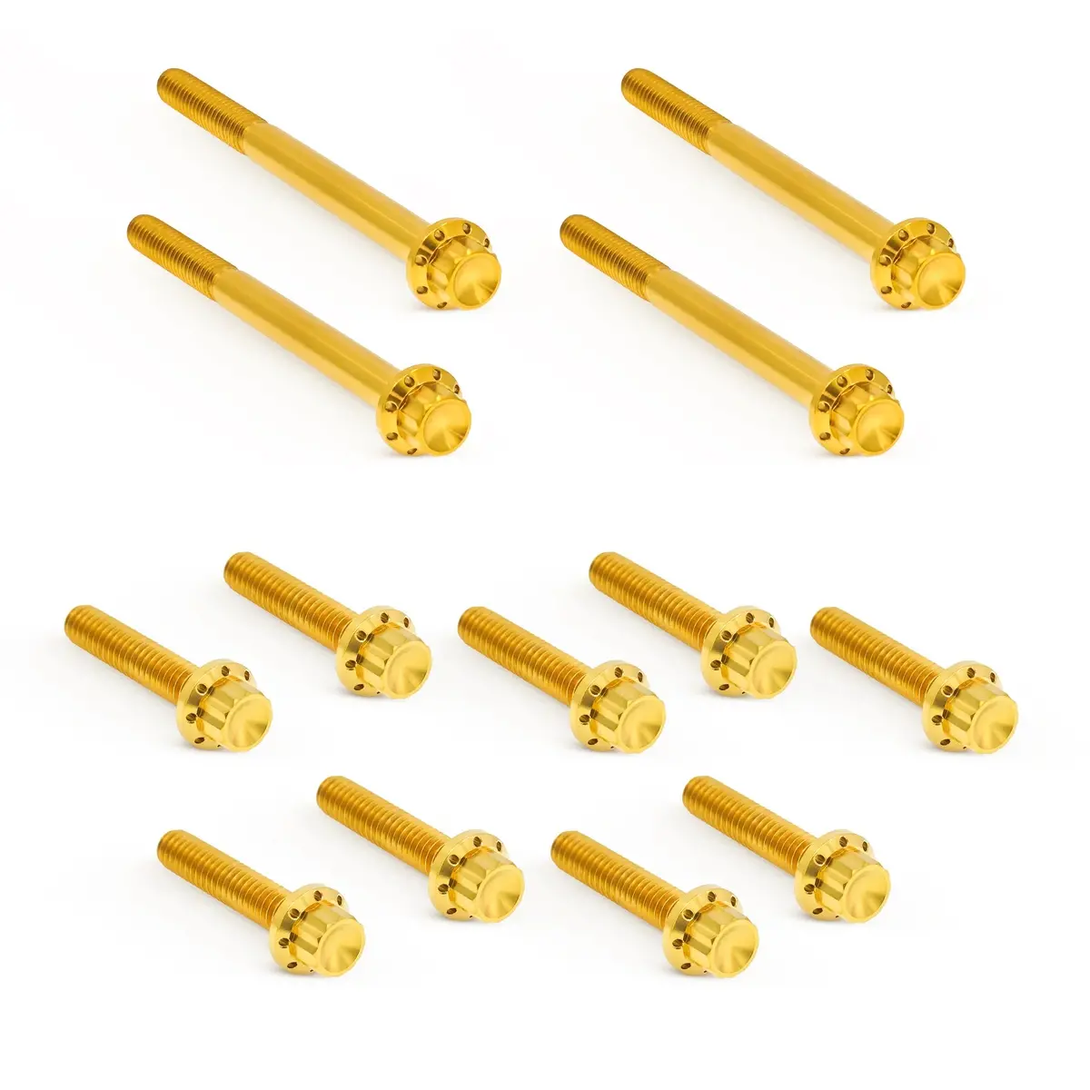 Arlen Ness Primary Cover Titanium 12-Point Bolt Kits, Gold 3