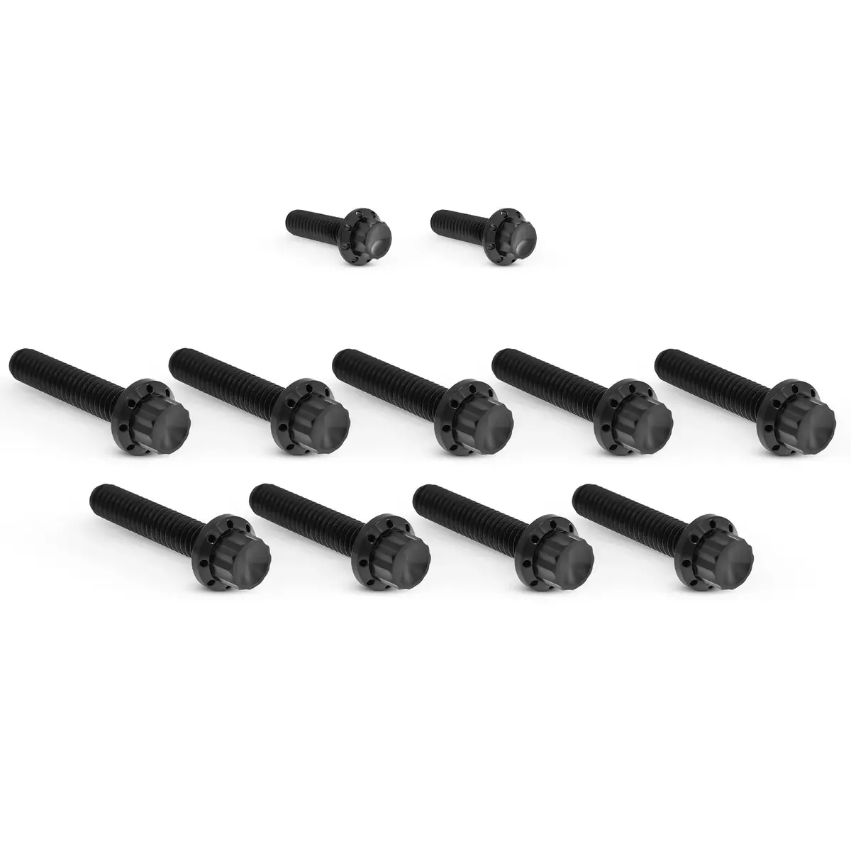 Arlen Ness Cam Cover Titanium 12-Point Bolt Kits, Black 3