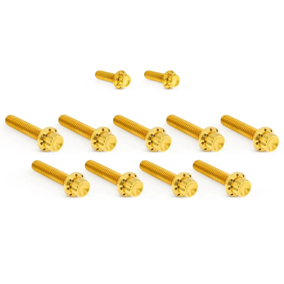 Arlen Ness Cam Cover Titanium 12-Point Bolt Kits, Gold 3