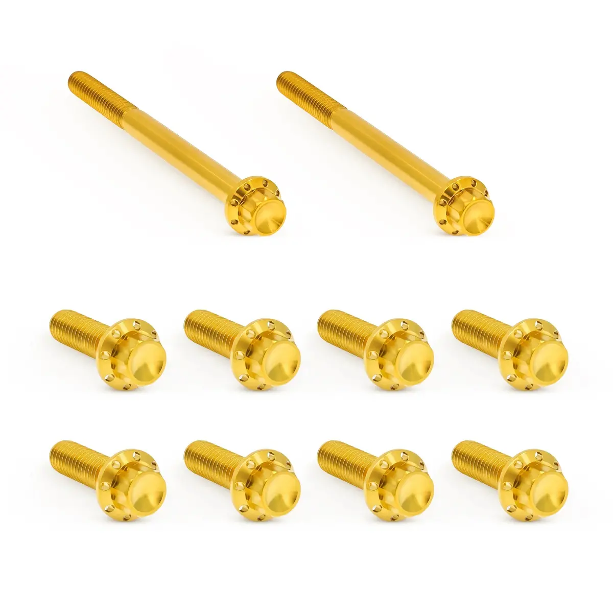 Arlen Ness Transmission Side Cover & Trap Door Titanium 12-Point Bolt Kits, Gold 1