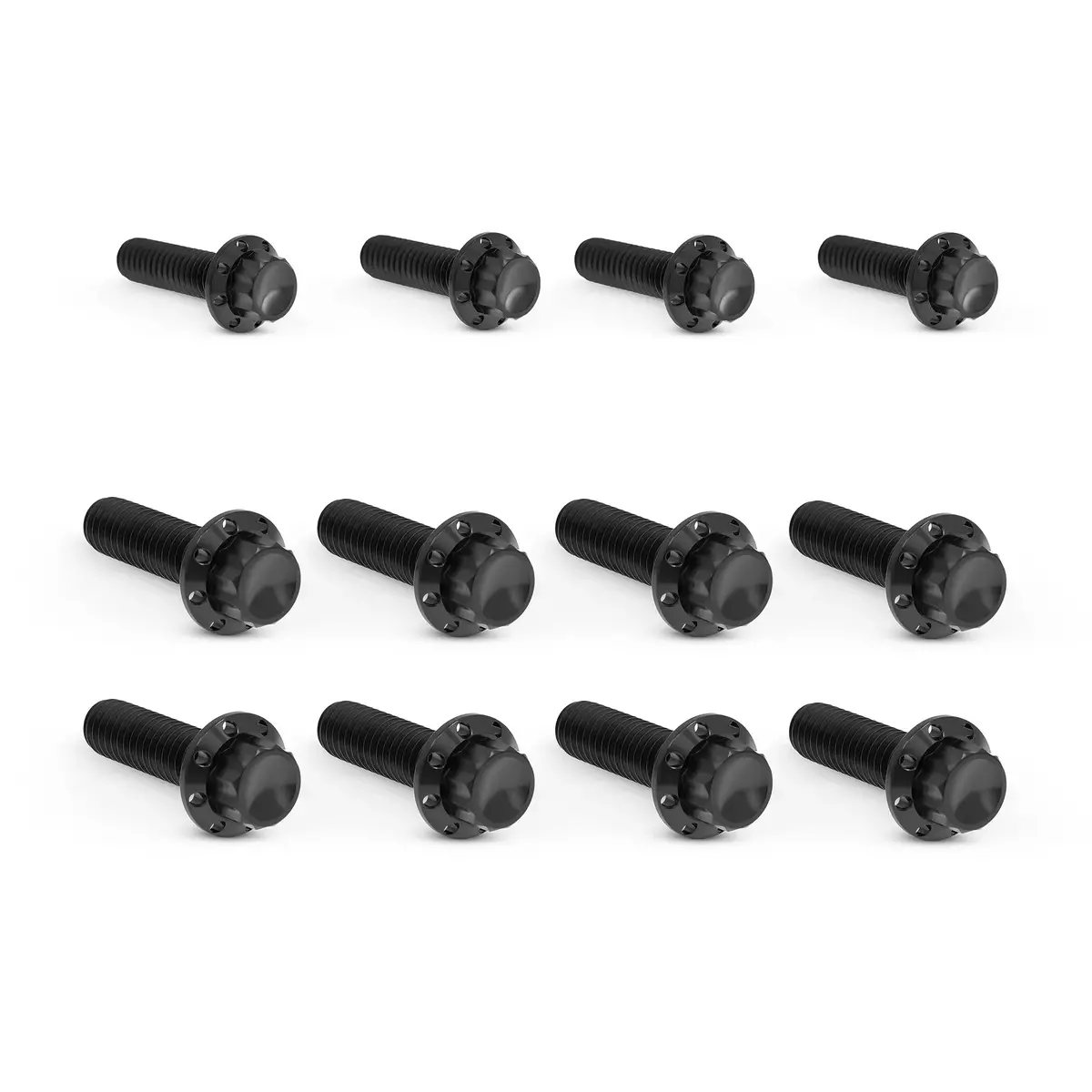 Arlen Ness Transmission Side Cover & Trap Door Titanium 12-Point Bolt Kits, Black 2