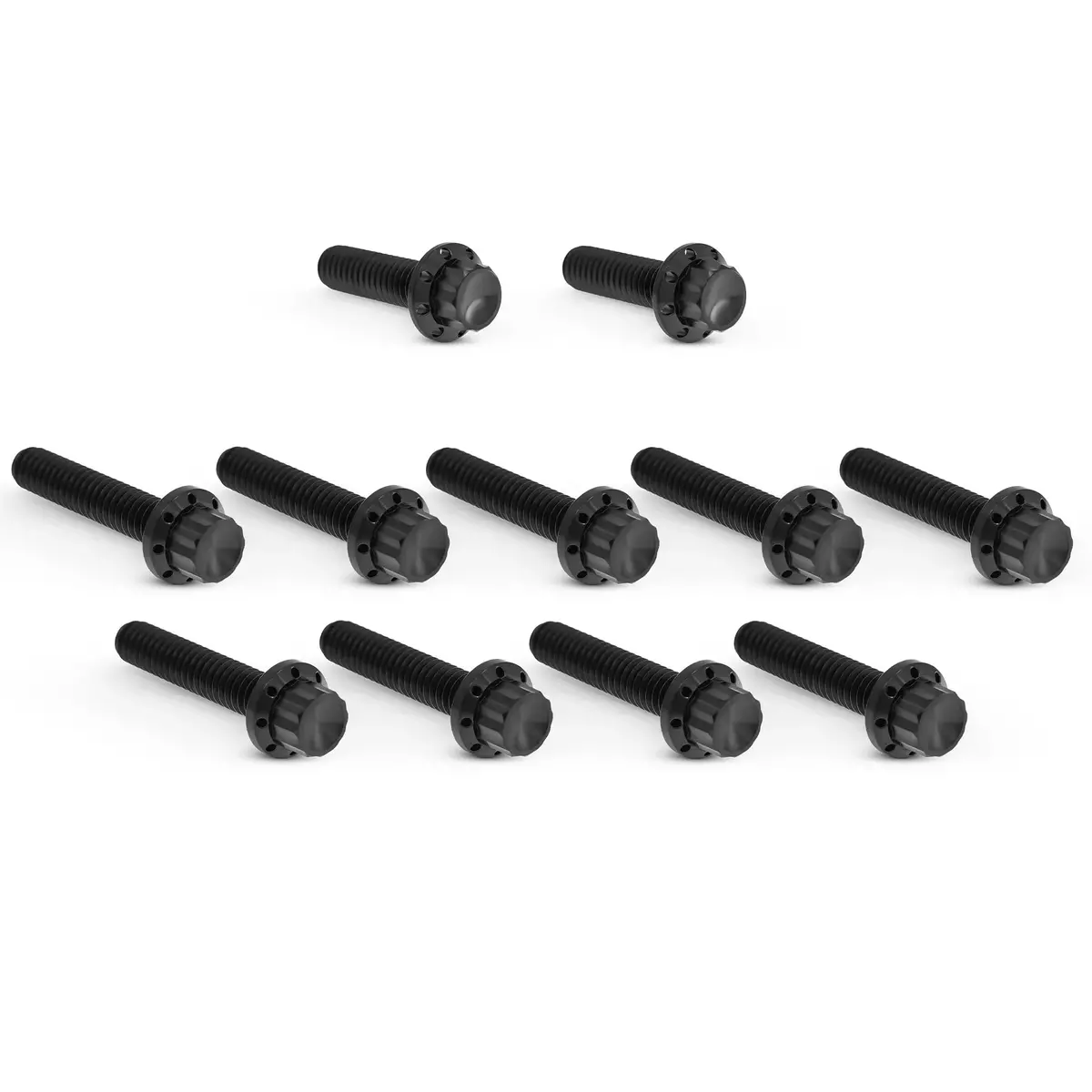 Arlen Ness Cam Cover Titanium 12-Point Bolt Kits, Black 2