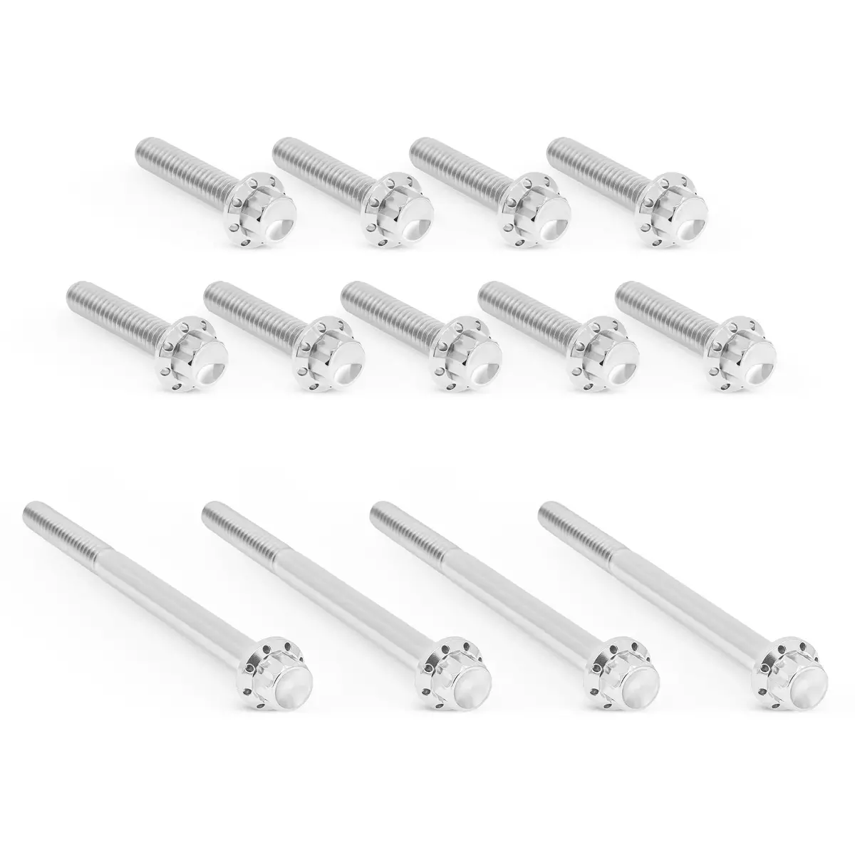 Arlen Ness Primary Cover Titanium 12-Point Bolt Kits, Polished 1