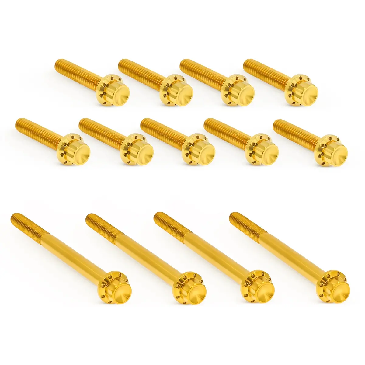 Arlen Ness Primary Cover Titanium 12-Point Bolt Kits, Gold 2