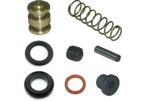 Overhaul Kit For Hydraulic Brake Pump Eurostar 1