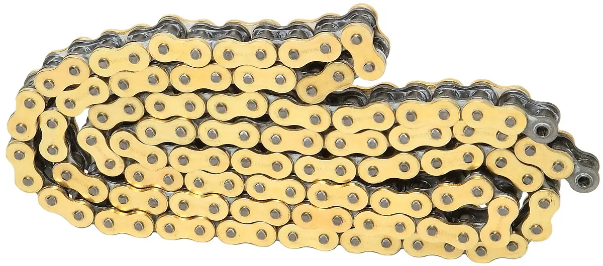 Evolution Industries - Regina Z-Ring Secondary Drive Chains 1