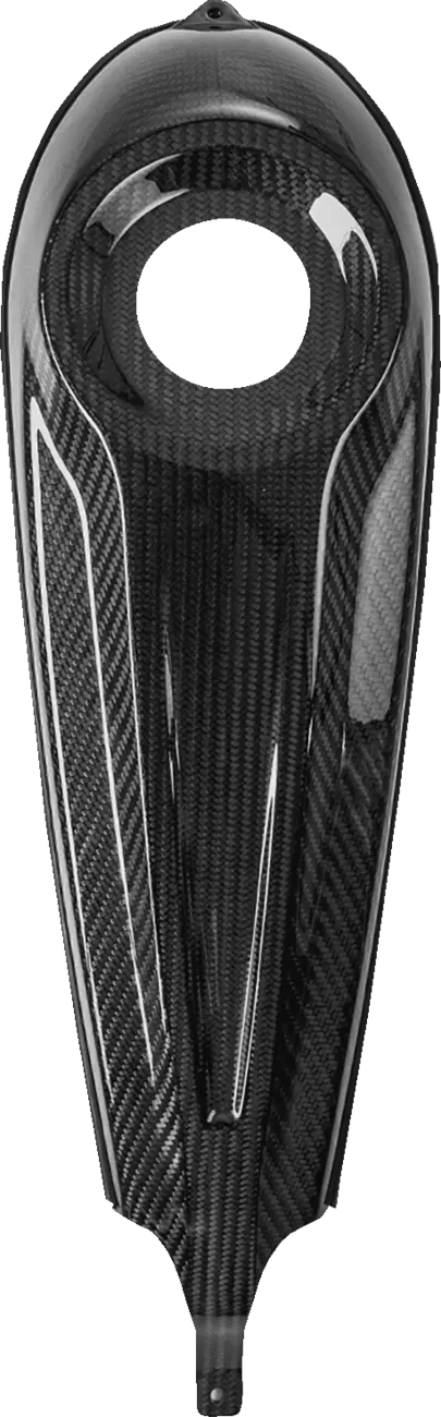 Saddlemen Dash Panel - Center Fill - Carbon Fiber/Gloss (Cf-808-07-001) Touring 08-24 1