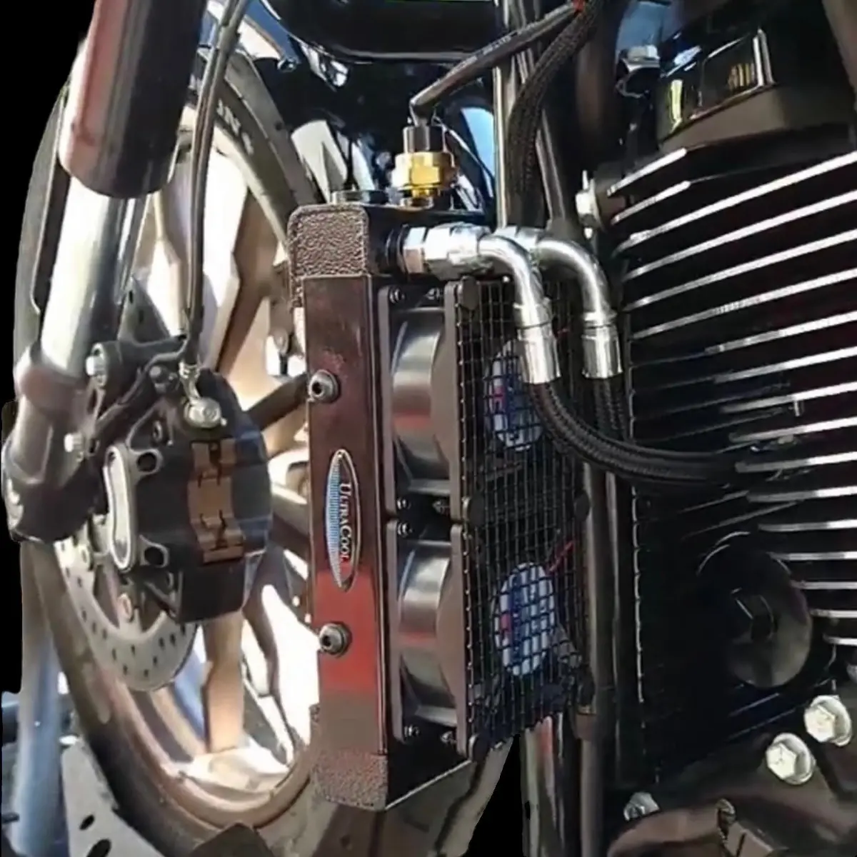 M8 Softail Oil Coolers 2