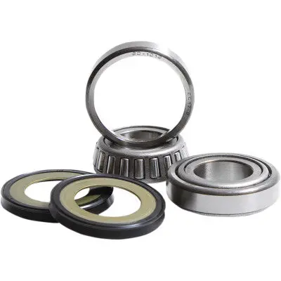 Pivot Works Neck Bearing Kit 1