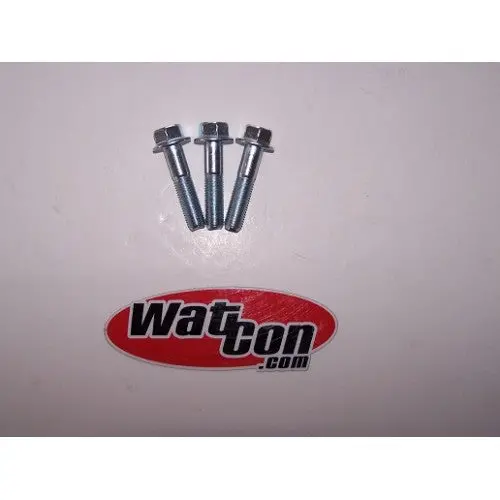 Exhaust Pipe Bolts 1