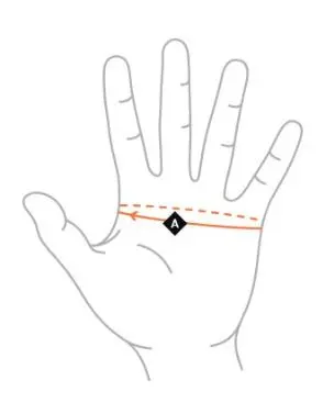 Ktm Prime Gloves 5