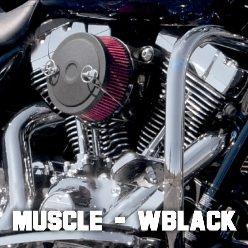 S&S Cycles Stealth Air Cleaner Kit - 07-20 Xl 12