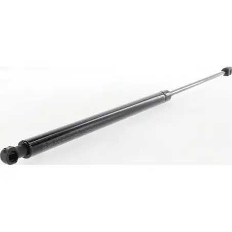 Ngs15409 Trunk Lid Gas Strut Support - Ford Territory 1