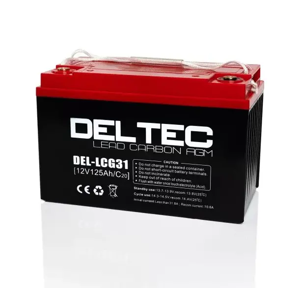 Deltec Del-Lcg31 Lead Carbon Agm Deep Cycle Battery - 12V 125Ah 1