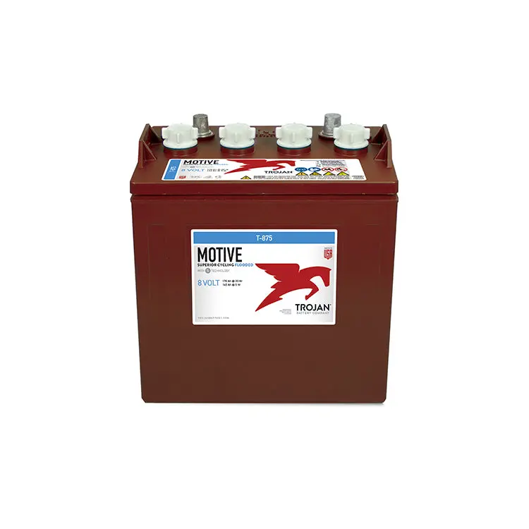 Trojan T-875 Deep Cycle Battery 8V 170Ah 1
