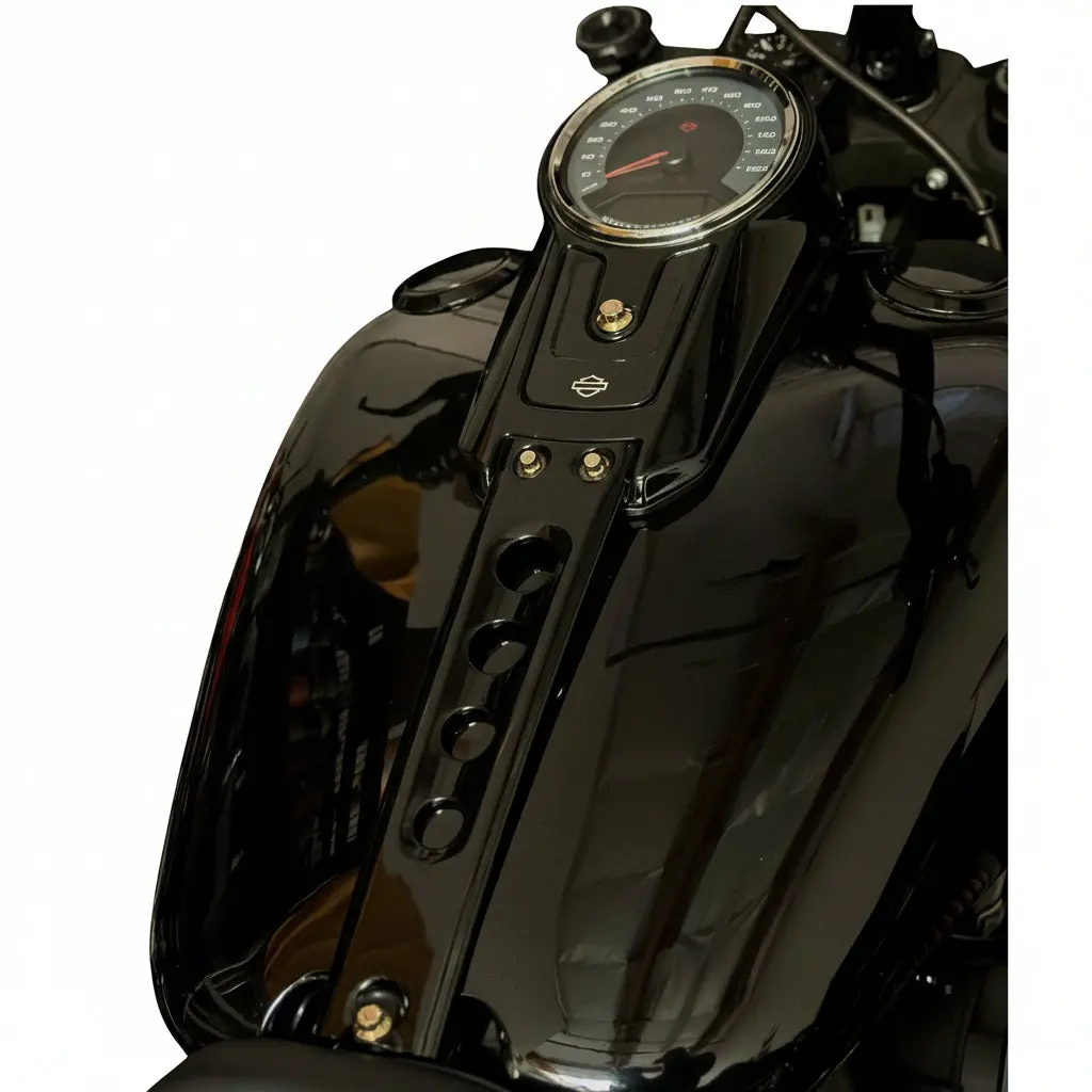 Harley Fat Boy Dash Bolts 1
