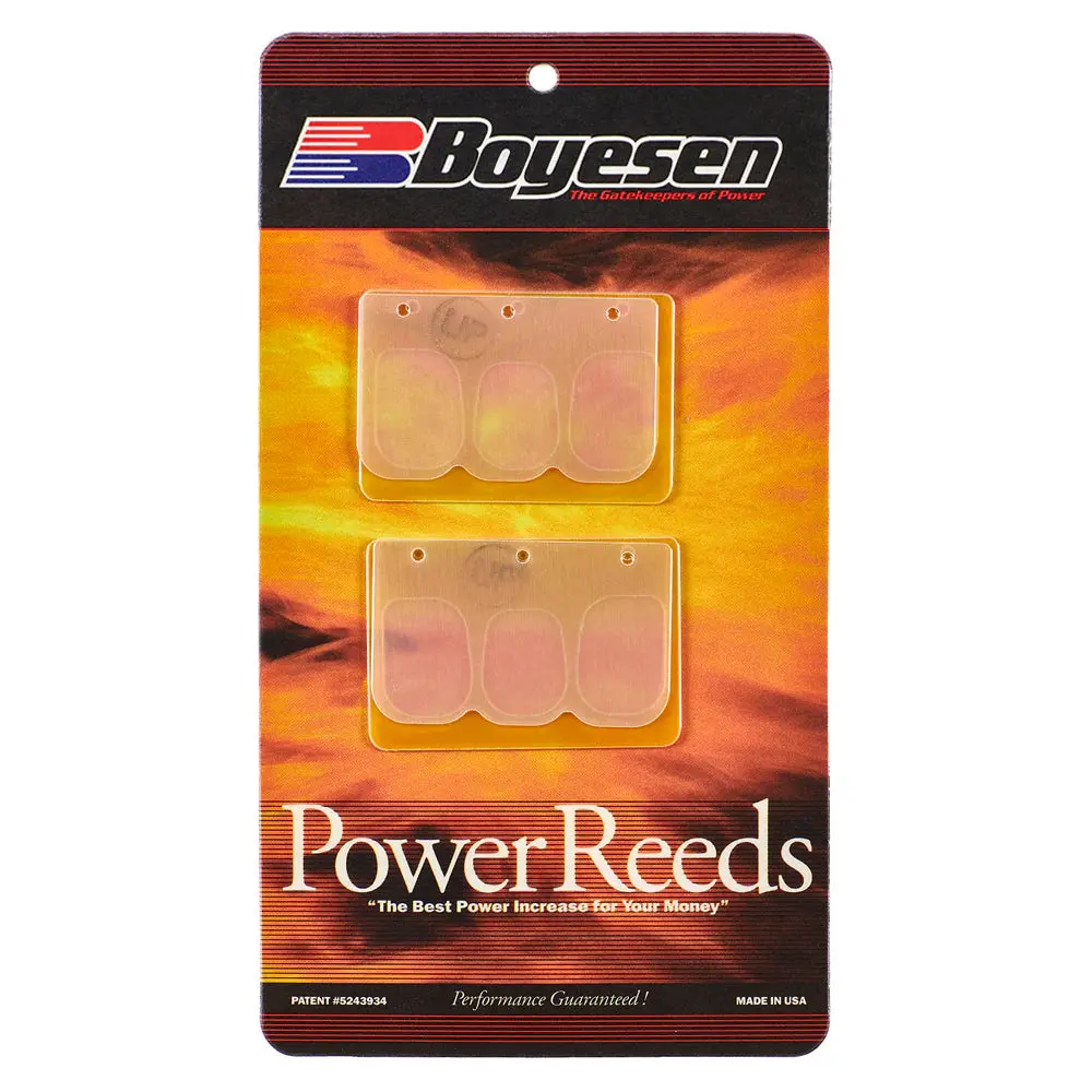 Reeds, Boyesen Dual Stage Fiberglass Kaw 550Sx 1