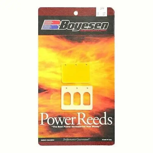 Reeds, Boyesen Dual Stage Kaw 650 1