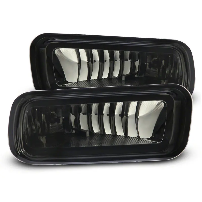 Raxiom Smoked Fog Light Assembly For 2004–2006 Ford F-150 1